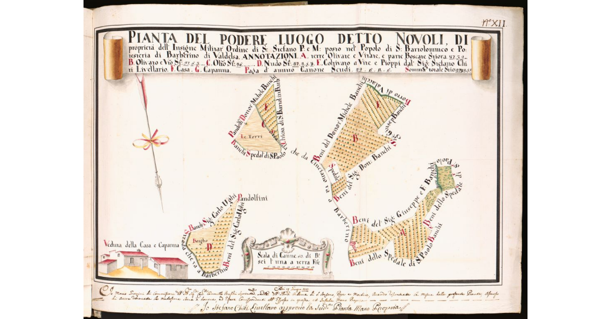 Pianta del Podere luogo detto Novoli [...] posto nel Popolo di S. Bartolomeo e Potesteria di Barberino Valdelsa
