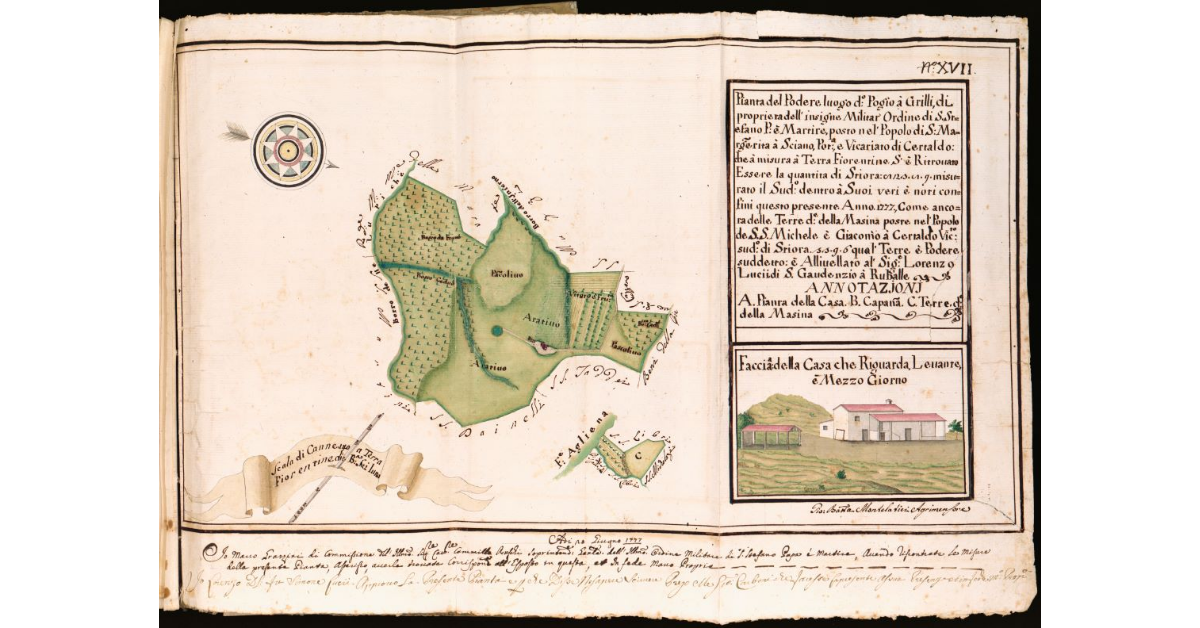 Pianta del Podere, luogo detto Pog[g]io à Grilli [...] posto nel Popolo di S. Margherita a Sciano, Potesteria e Vicariato di Certaldo [...]