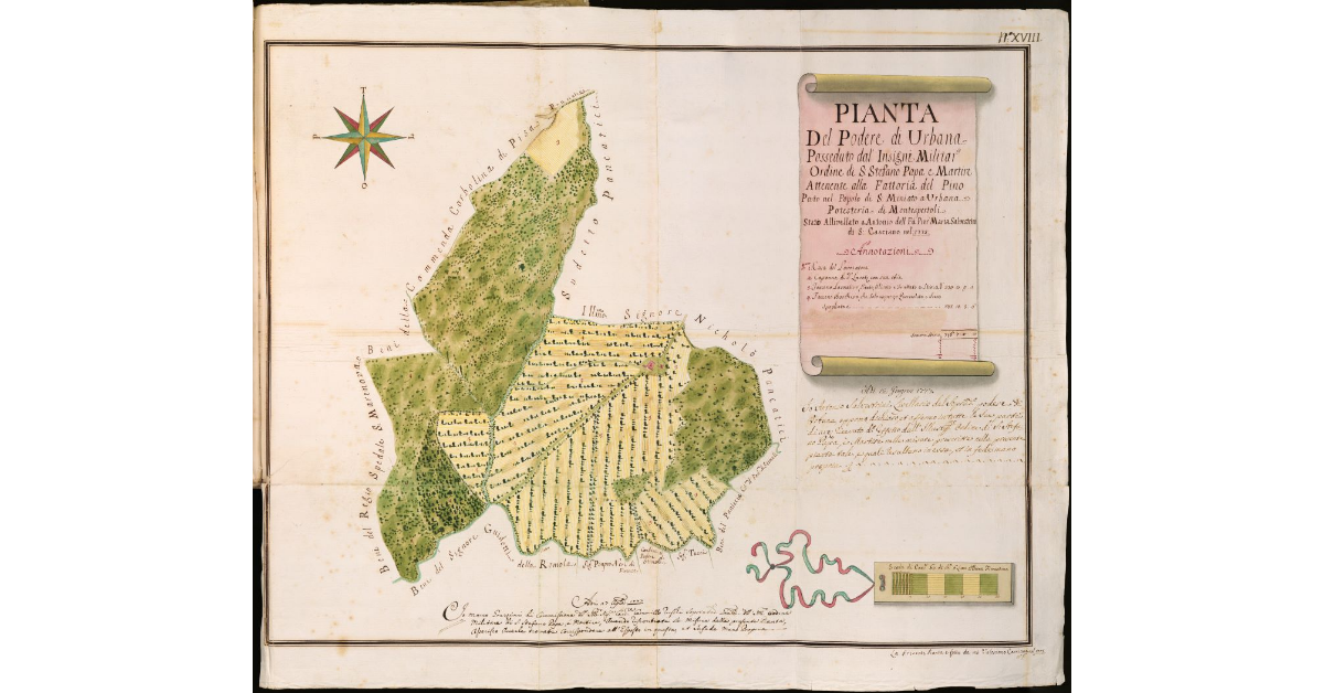 Pianta Del Podere di Urbana [...] attenente alla fattoria del Pino [...]