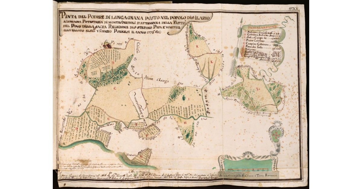 Pianta del podere di Lungagnana posto nel Popolo di S. Ilario a Lungagnana Potesteria di Montespertoli [...]