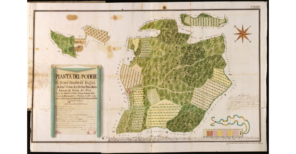 Pianta del Podere di Stimoli [...] attenente alla Fattoria del Pino posto nel Popolo di S. Paolo e Prospero [...]
