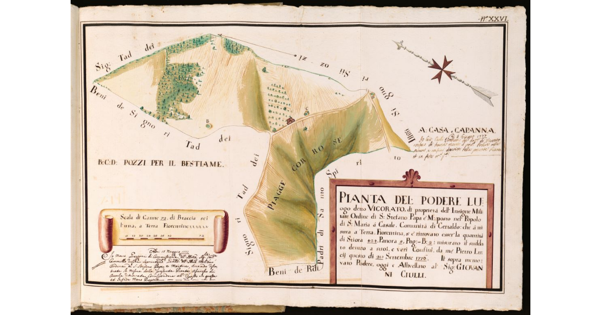 Pianta del Podere Luogo detto Vicorato [...] posto nel Popolo di S. Maria à Casale, Comunità di Certaldo [...]