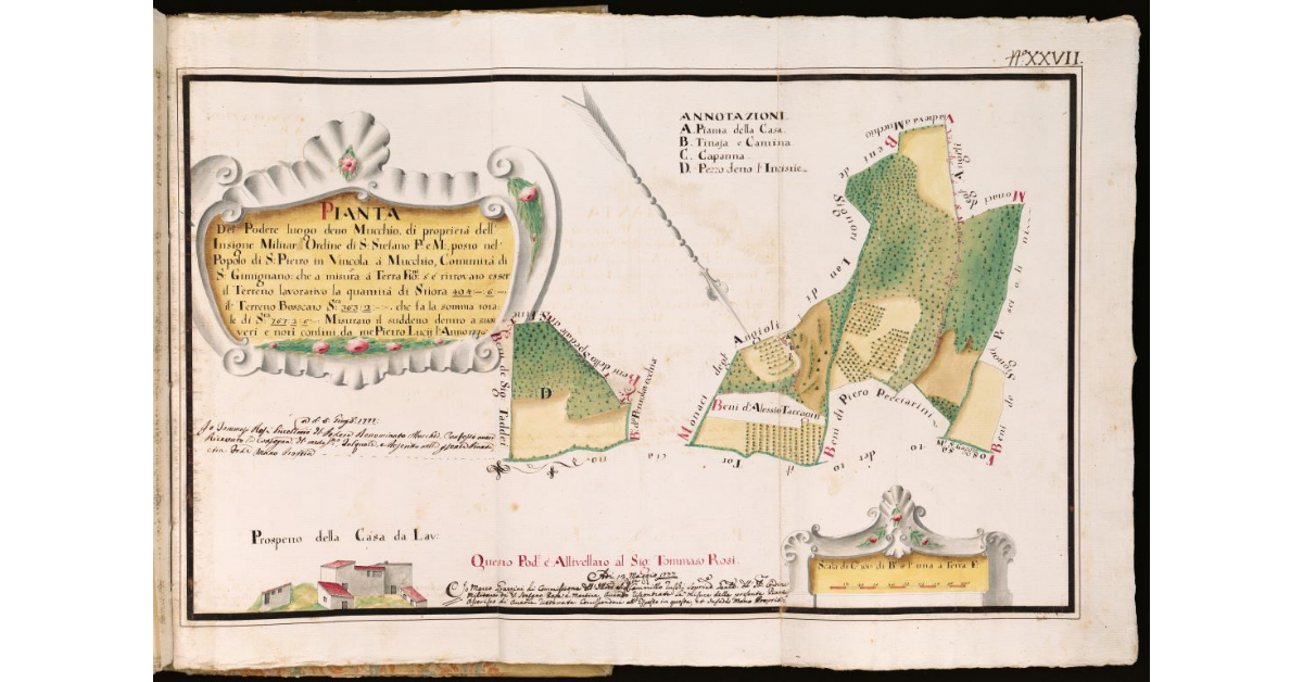 Pianta del Podere luogo detto Mucchio [...] posto nel Popolo di S. Pietro in Vinicola a Mucchio, Comunità di S. Geminiano [...]