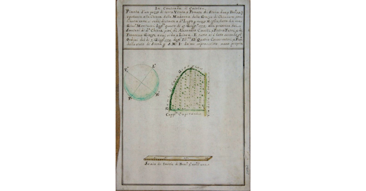 In Contrada il Coiolo. Pianta d’un pezzo di terra Vitata, e Pomata di Staia due, e Tavole 22 e 2/3 spettante alla Chiesa della Madonna delle Grazie di Chiusure, confinata come si vede [...]