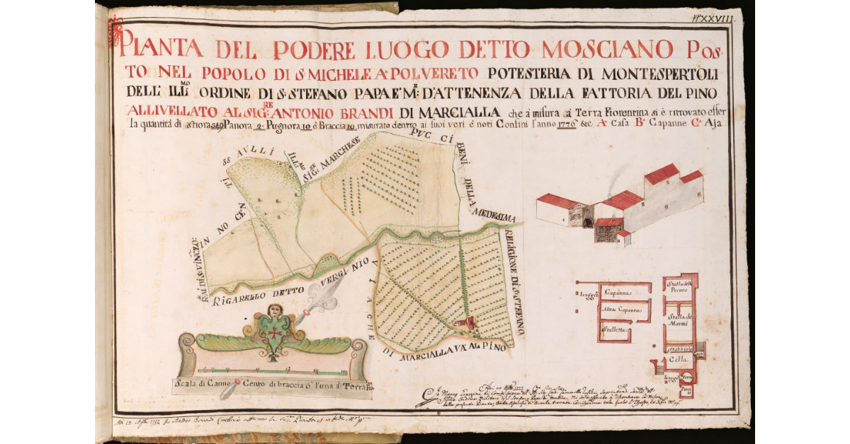 Pianta del Podere luogo detto Mosciano posto nel Popolo di S. Michele a Polvereto Potesteria di Montespertoli [...]