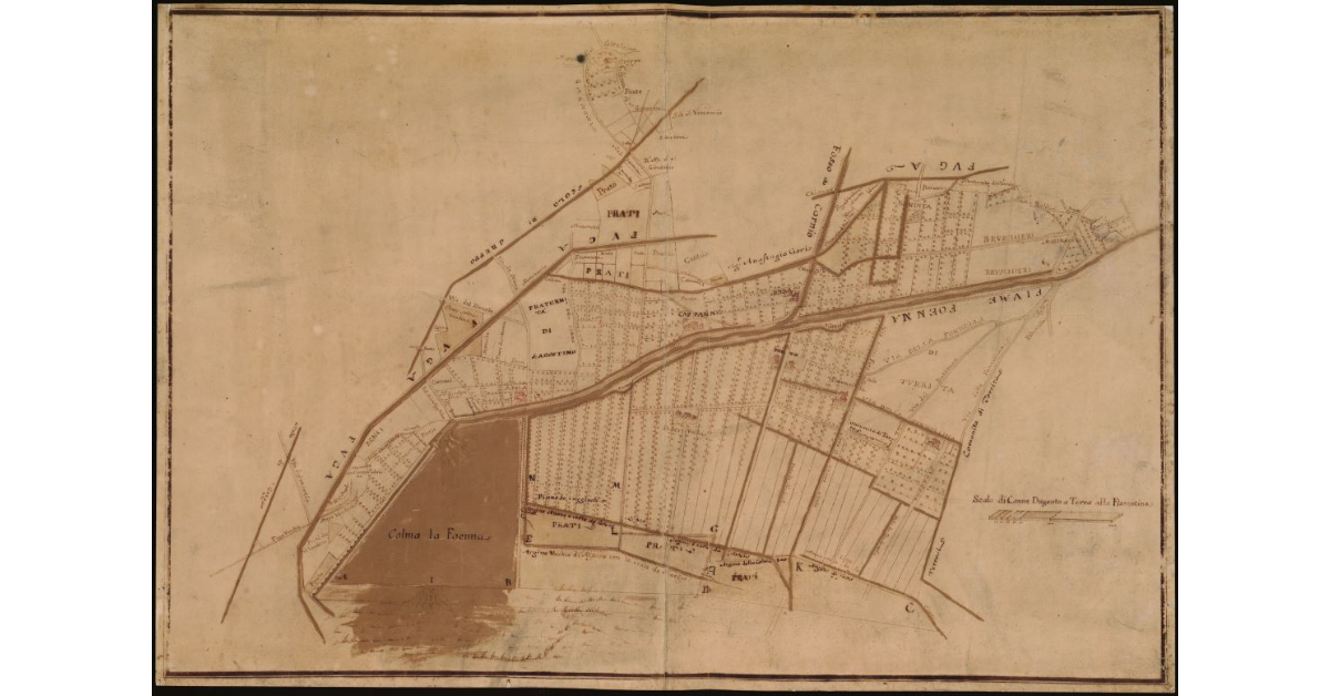 [Colmate in Val di Chiana nella fattoria di Bettolle]