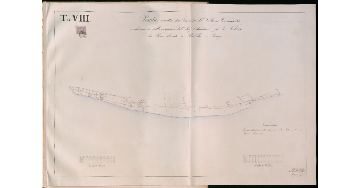 Pianta corretta dai geometri del pubblico censimento in relazione di quella preparata dall'ing.Orlandini per le volture dei beni alienati a Bertolla e Parigi. Tavola VIII