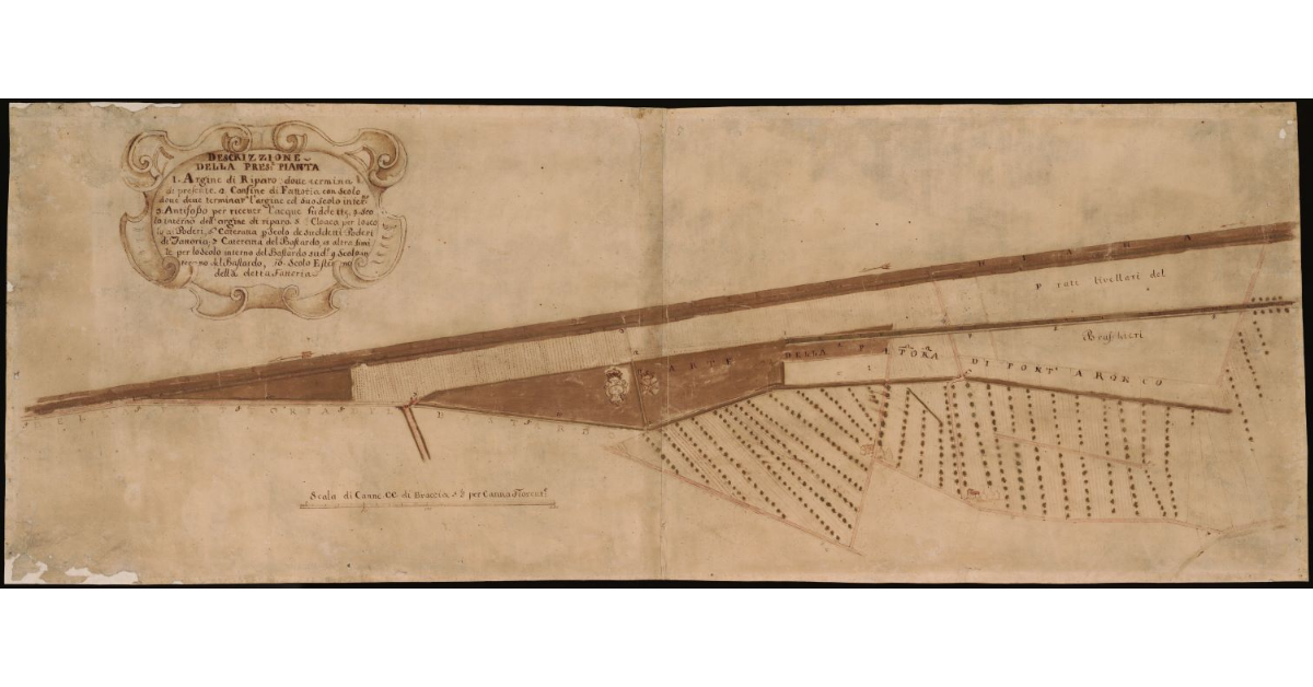 [Terreni della Fattoria di Fonte a Ronco in Val di Chiana]