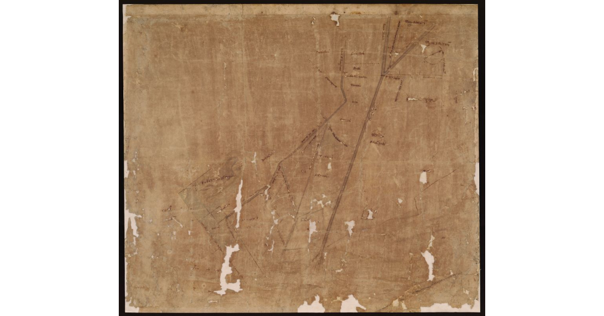 [Colmate in Val di Chiana nella Fattoria di Foiano]