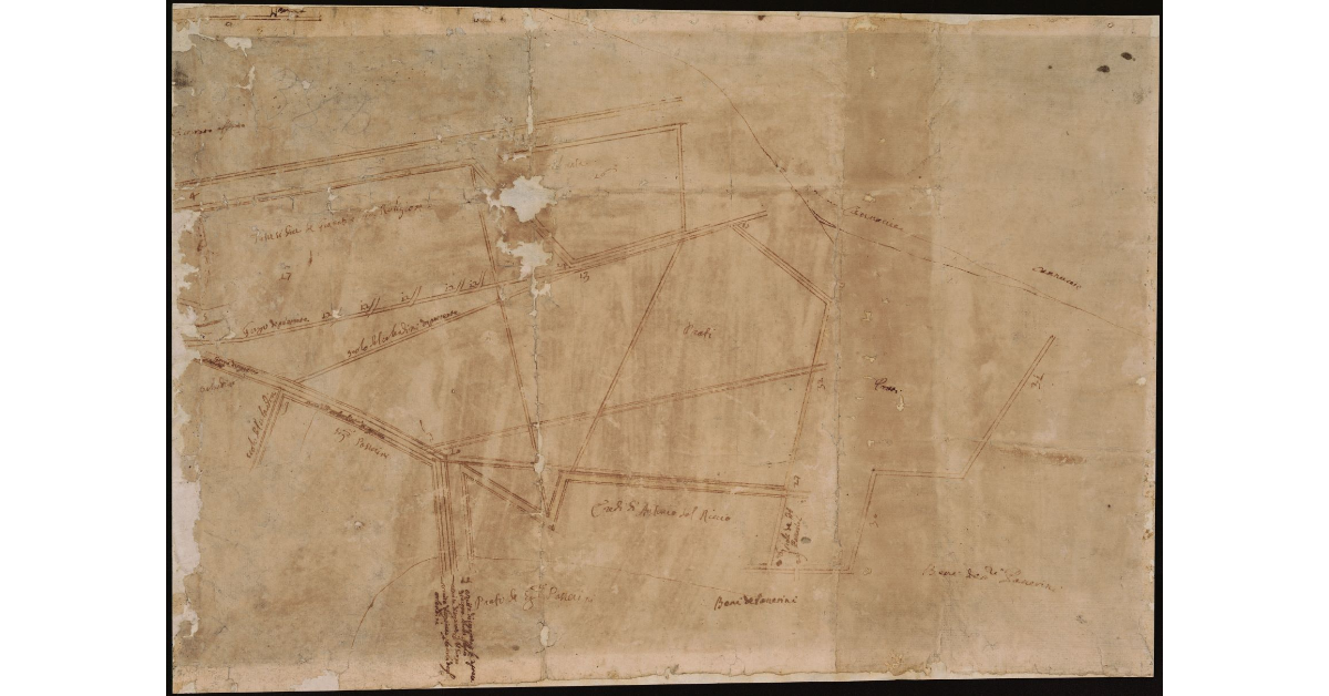 [Colmate in Val di Chiana]