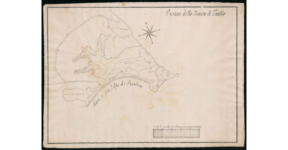 [Pianta del confine giurisdizionale tra Granducato di Toscana e Principato di Piombino nella tenuta di Gualdo]