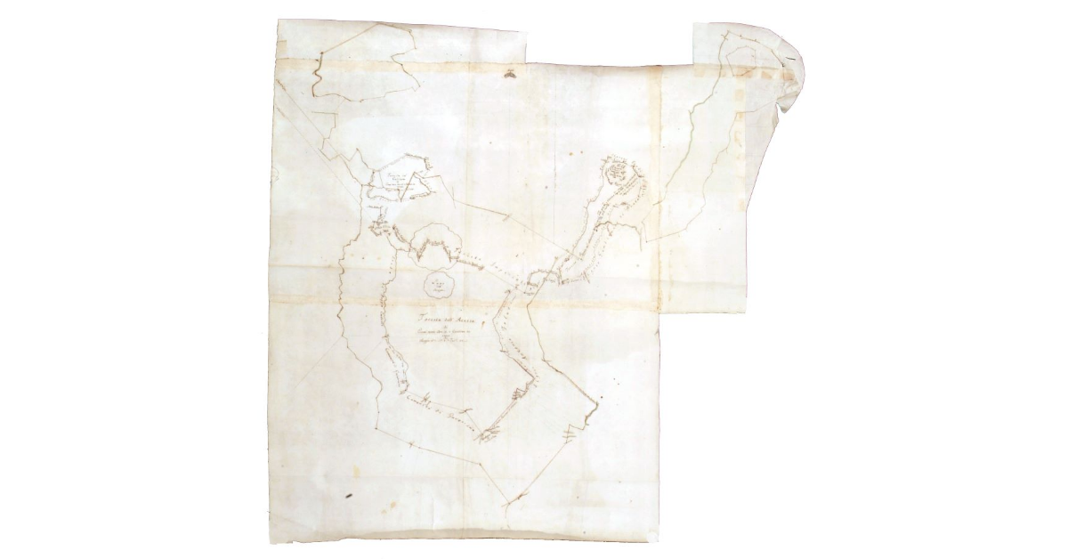 [Massa. Disegno della Foresta dell'Accesa proveniente da quella Mensa Vescovile]