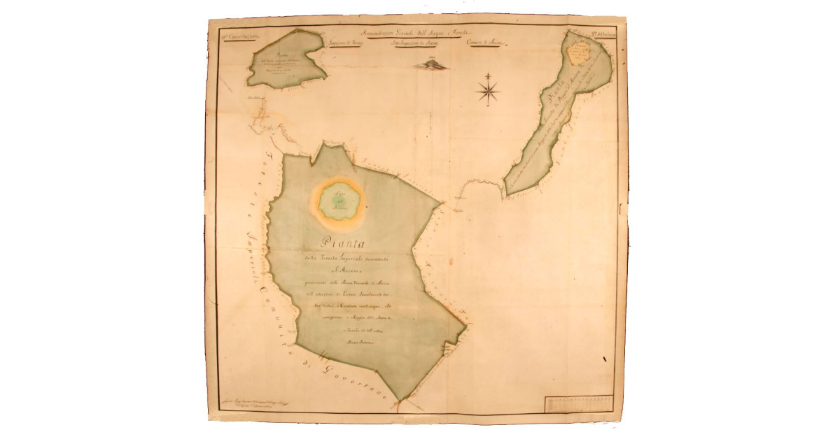 Pianta della Foresta imperiale denominata l'Accesa