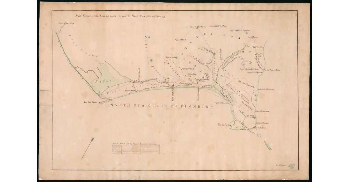 Pianta topografica della tenuta del Gualdo e di parte del Pian d'Alma fatta nell'anno 1779