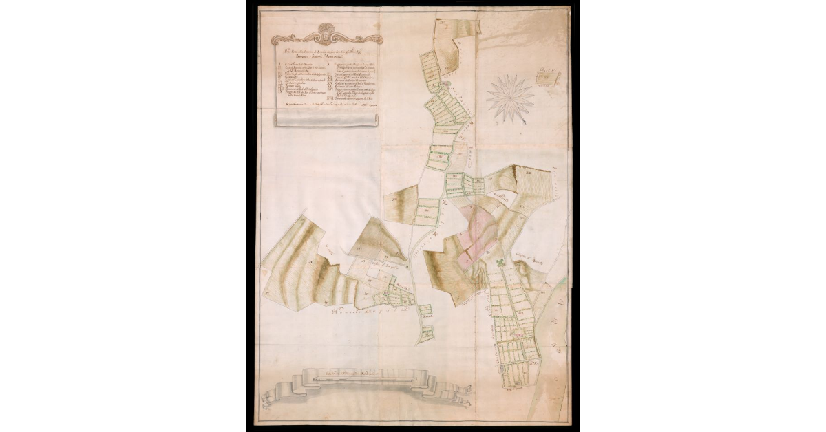Prima parte della Fattoria di Spicchio divisa in due fra gli Ill.mi Sig.ri Borromei, e Strozzi l'anno 1718