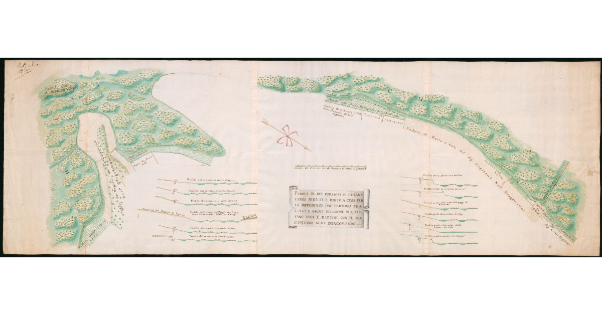 Pianta di due porzioni di Chiana lungo Muralti e Porto a Cesa per le differenze che vertono tra l'Ill.ma e Sacra Religione di S.Stefano papa e martire con il Sig.Capitano Neri Dragomanni