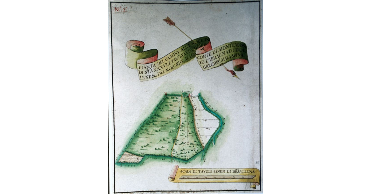 Pianta del Campo alla Noce in Corte di MonteMassi di stara XXXVI e Tavole LXXXIV, Misurato e terminato d’ordine e del Nobile Signore Marchese Gio. Cris.o Malaspina
