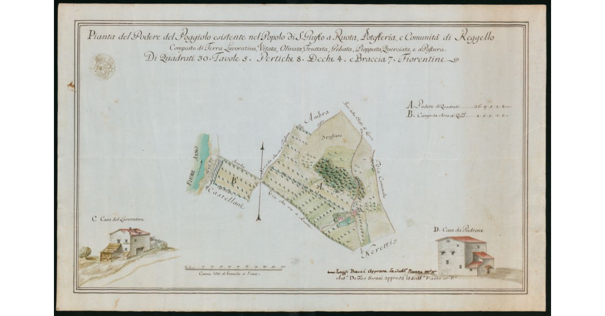 Pianta del Podere del Poggiolo esistente nel popolo di S.Giusto a Ruda, potesteria e comunità di Reggello composta di terra lavorativa vitata, olivata, fruttata, gelsata, pioppata, querciata e a pastura. Di quadrati 30, tavole 5, pertiche 8, deche 4 e braccia 7 fiorentine