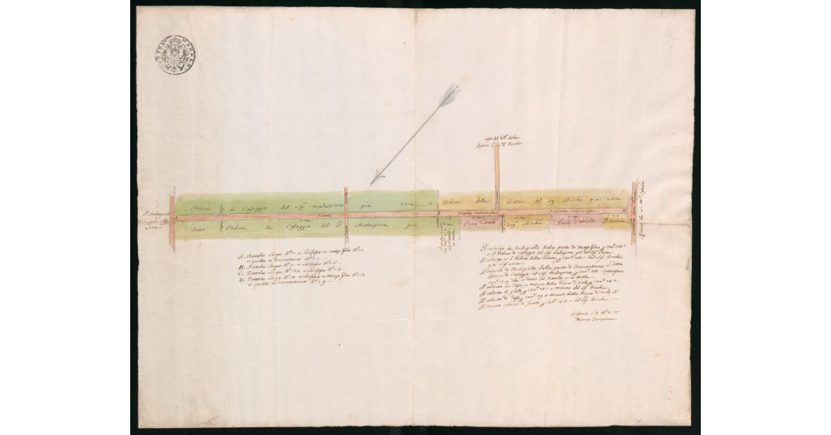 [Poderi di Cafaggio e della Risaia nel territorio pratese]