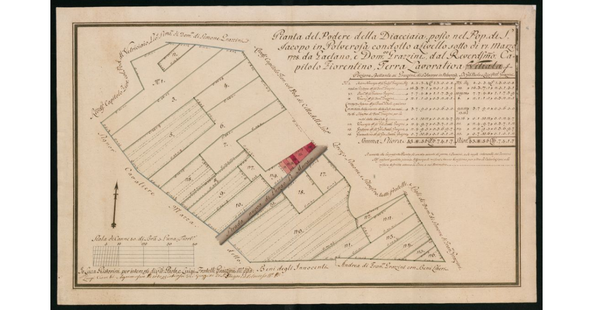 Pianta del Podere della Diacciaia nel popolo di S.Iacopo in Polverosa condotto a livello sotto dì 17 marzo 1728 da Gaetano e Domenico Grazzini, dal Reverendissimo Capitolo fiorentino, terra lavorativa