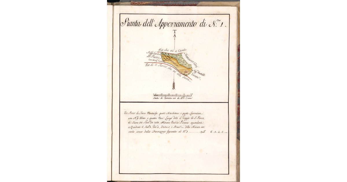 Pianta dell'Appezzamento di N. 1