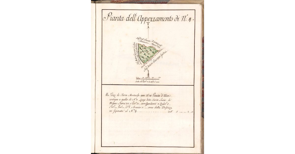 Pianta dell'Appezzamento di N. 4