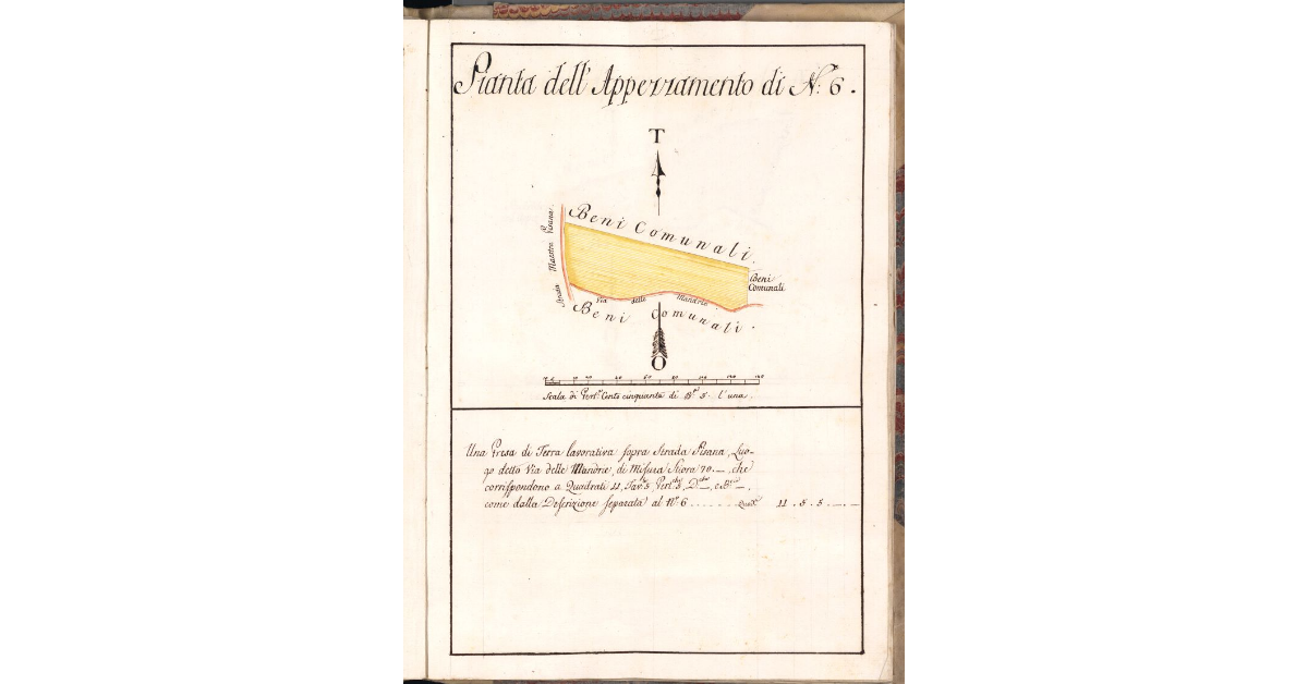 Pianta dell'Appezzamento di N. 6