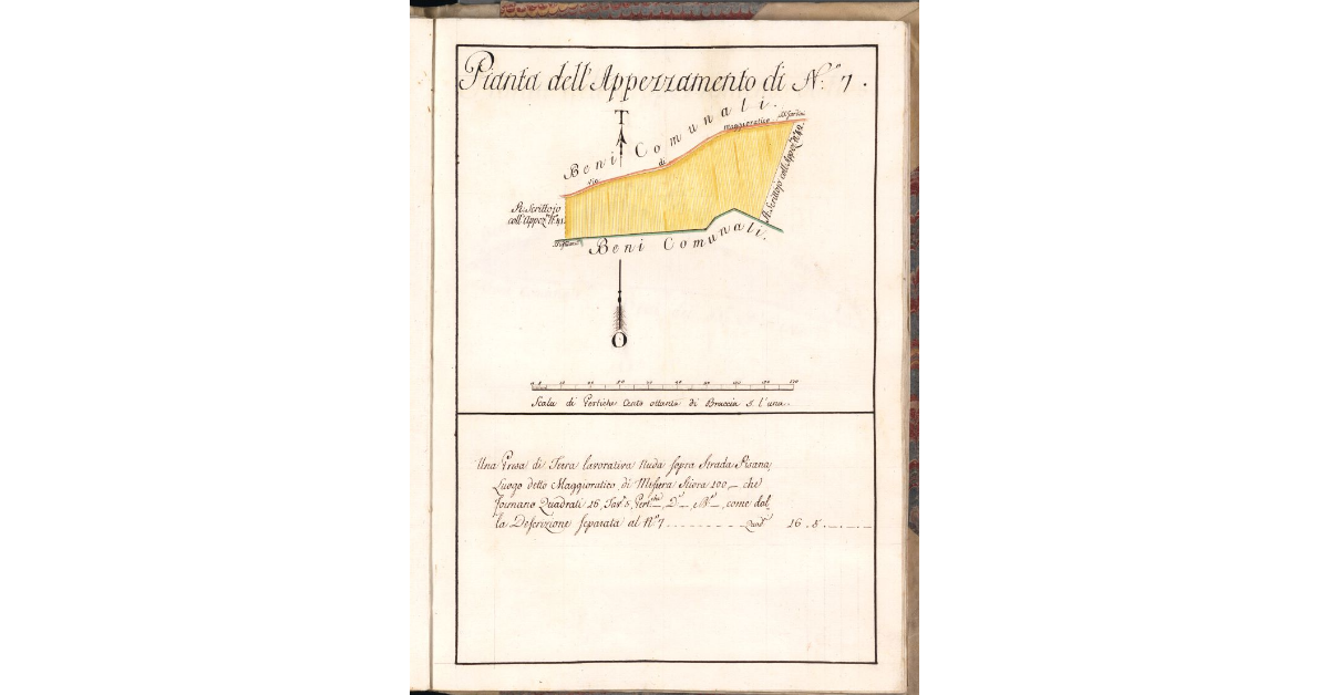 Pianta dell'Appezzamento di N. 7