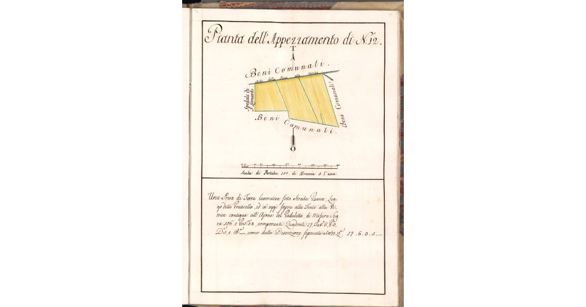 Pianta dell'Appezzamento di N. 12