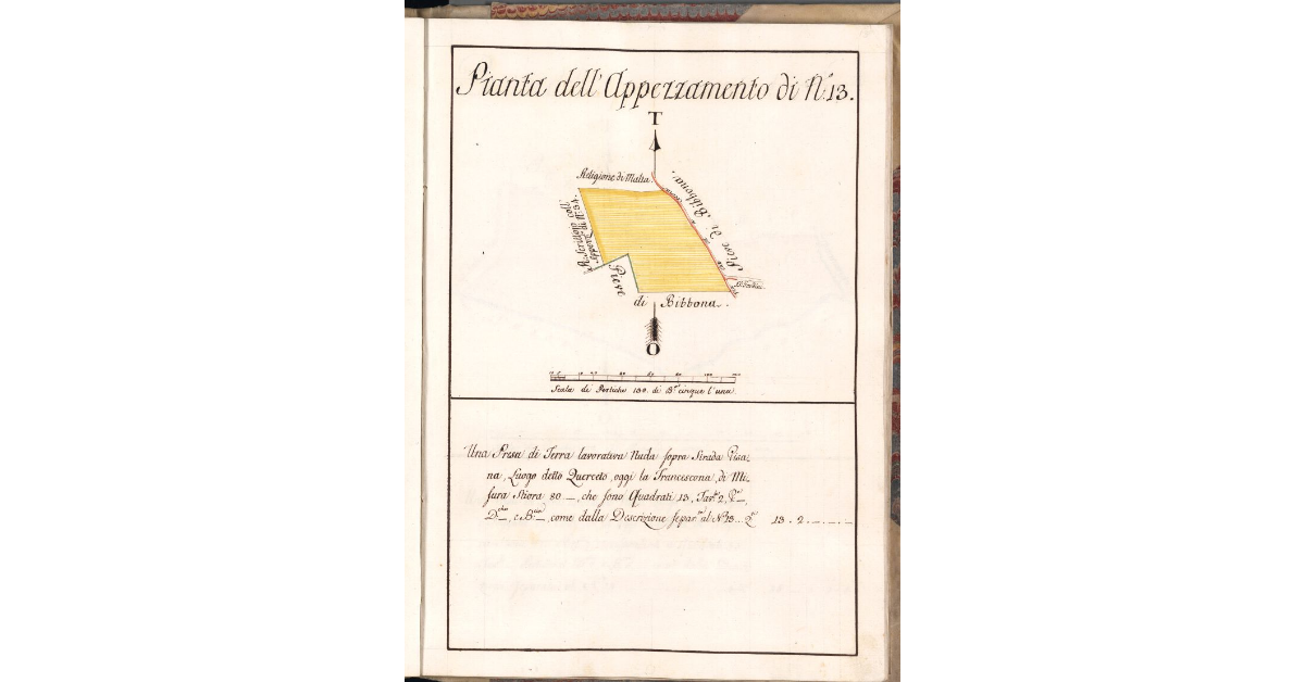 Pianta dell'Appezzamento di N. 13