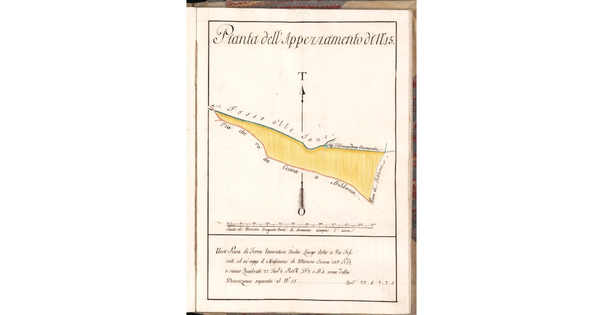 Pianta dell'Appezzamento di N. 15