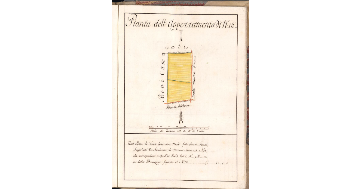 Pianta dell'Appezzamento di N. 16