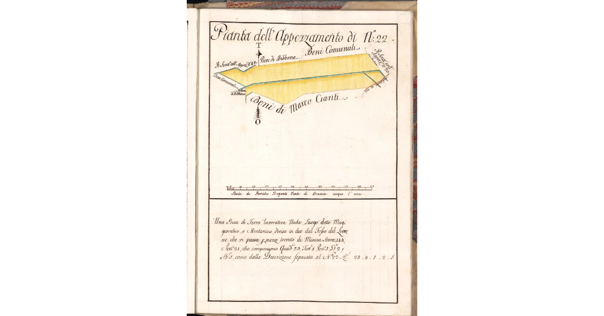 Pianta dell'Appezzamento di N. 22