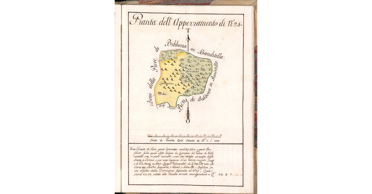 Pianta dell'Appezzamento di N. 25