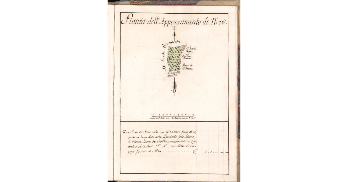 Pianta dell'Appezzamento di N. 26