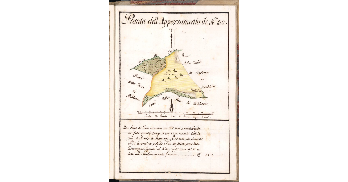 Pianta dell'Appezzamento di N. 30