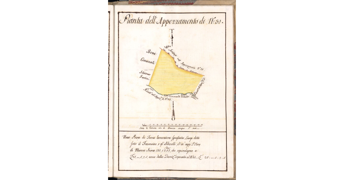 Pianta dell'Appezzamento di N. 31