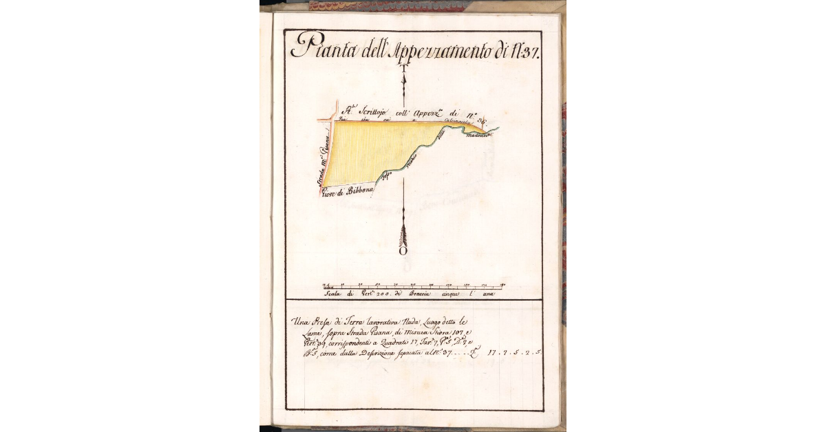 Pianta dell'Appezzamento di N. 37