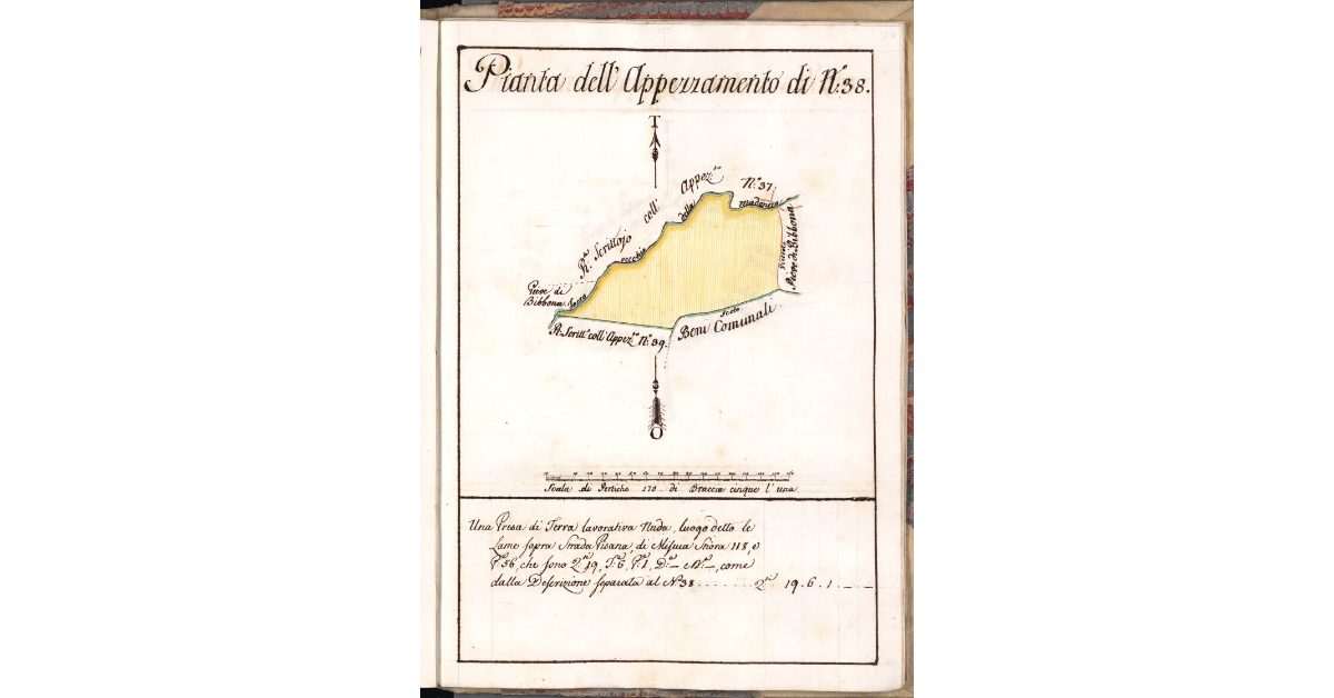 Pianta dell'Appezzamento di N. 38