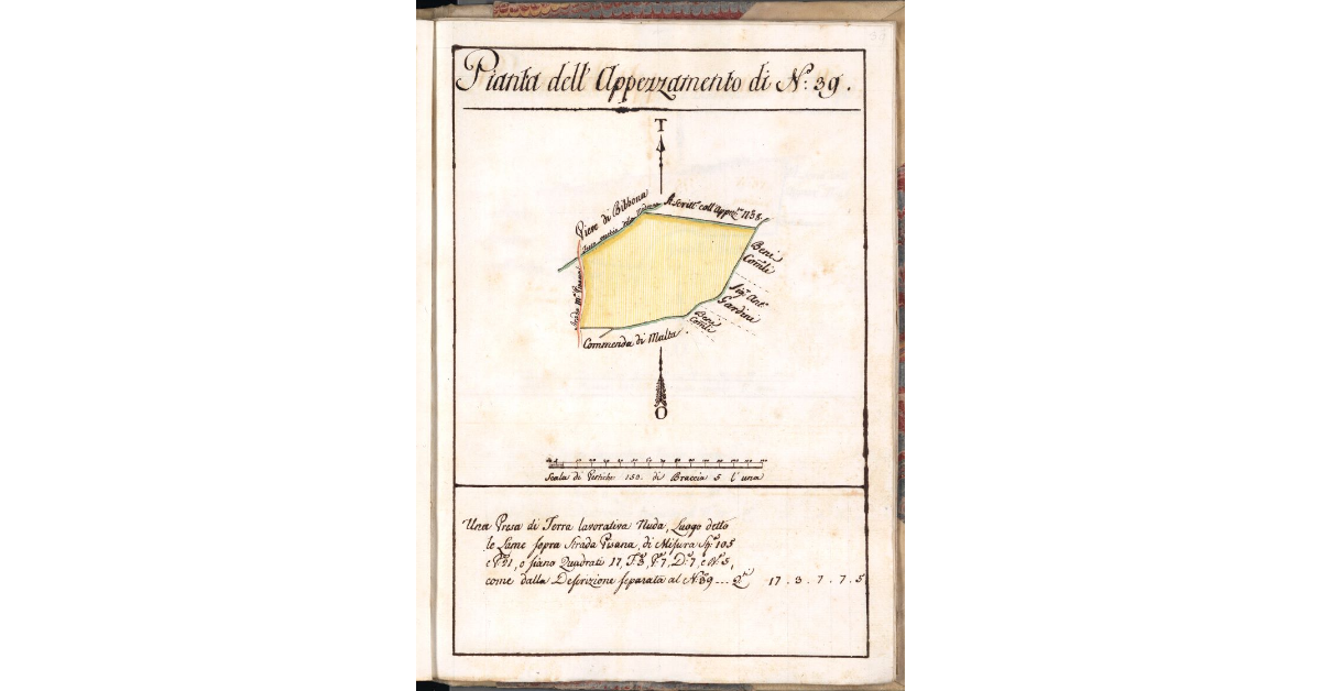 Pianta dell'Appezzamento di N. 39