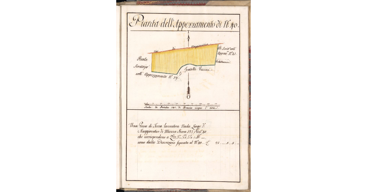 Pianta dell'Appezzamento di N. 40