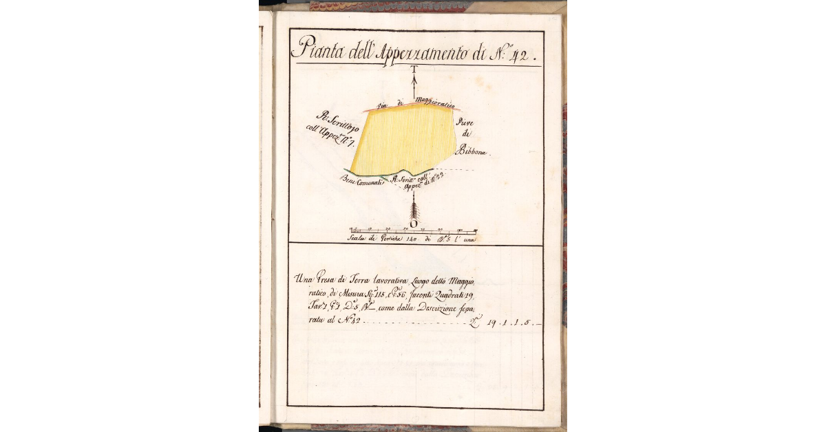 Pianta dell'Appezzamento di N. 42