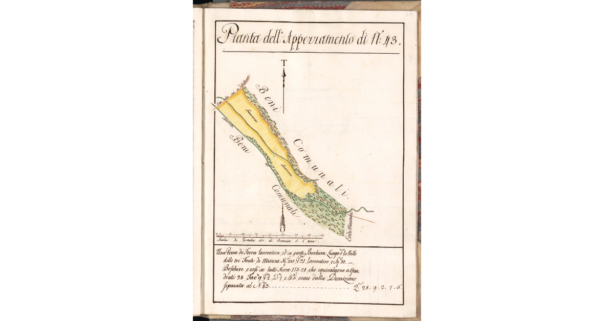 Pianta dell'Appezzamento di N. 43