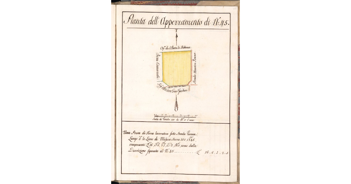 Pianta dell'Appezzamento di N. 45