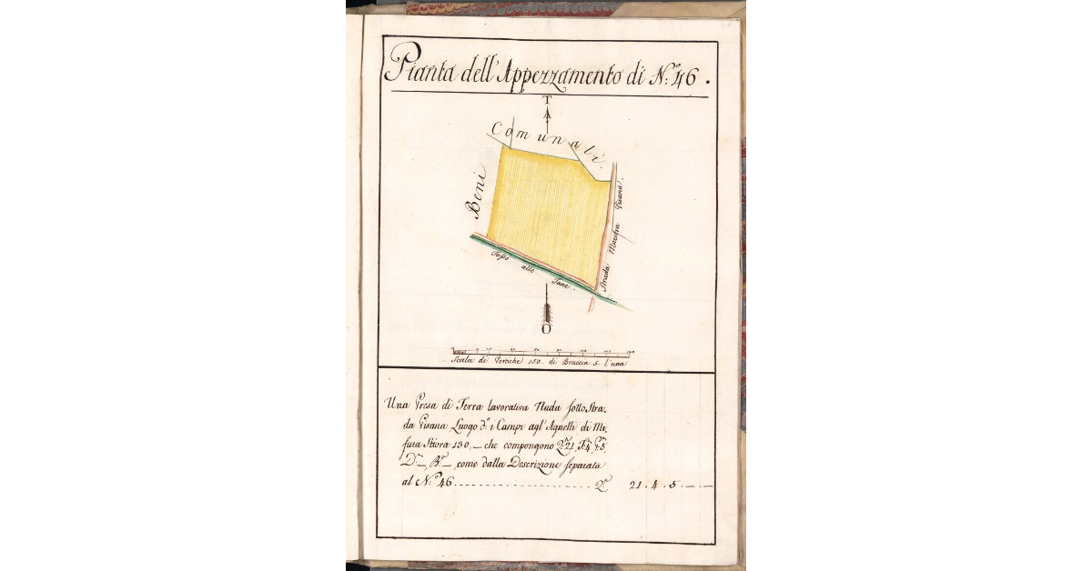 Pianta dell'Appezzamento di N. 46