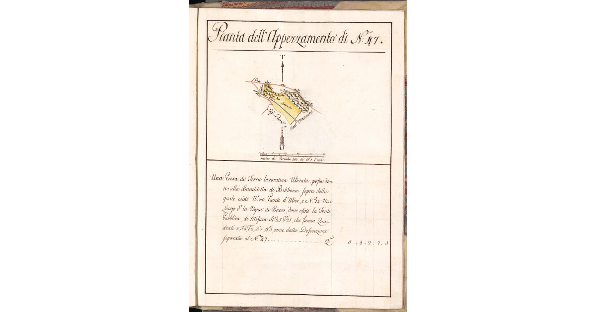 Pianta dell'Appezzamento di N. 47