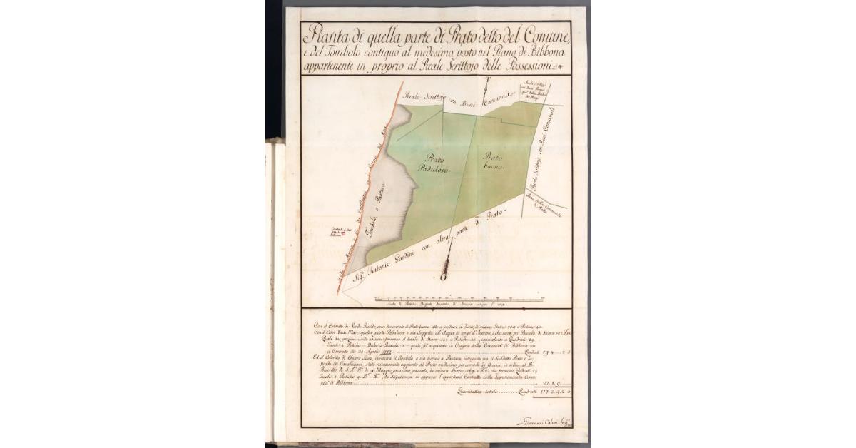 Pianta di quella parte di Prato detto del Comune, e del Tombolo contiguo al medesimo posto nel Piano di Bibbona appartenente in proprio al Reale Scrittojo delle Possessioni