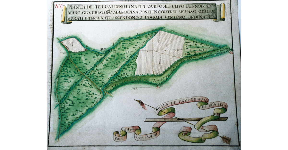 Pianta dei terreni denominati il campo all'ulivo del Nobile Signore Marco Giovanni Cristoforo Malaspina posti in corte di Monte Massi, quali misurati e terminati ascendono a Moggia ventuno ordinate