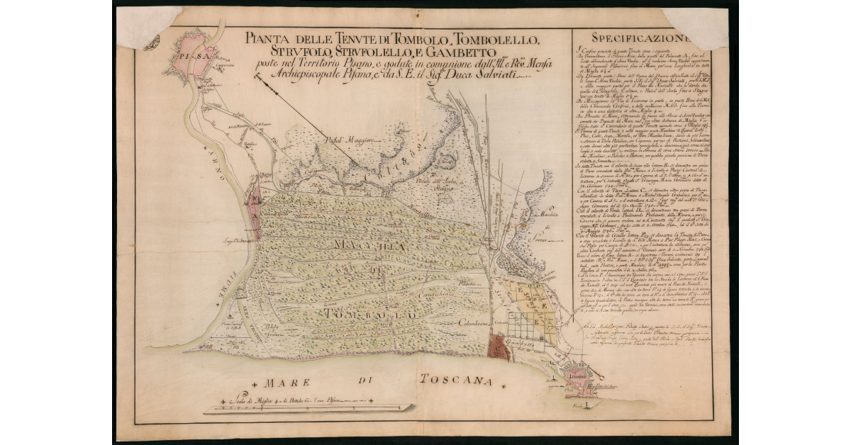 Pianta delle tenute di Tombolo, Tombolello, Strufolo, Strufolello e Gambetto poste nel Territorio Pisano, e godute in comunione dall'Ill.ma Rev.ma Mensa Archiepiscopale Pisana, e da S.E. il Sig. Duca Salviati