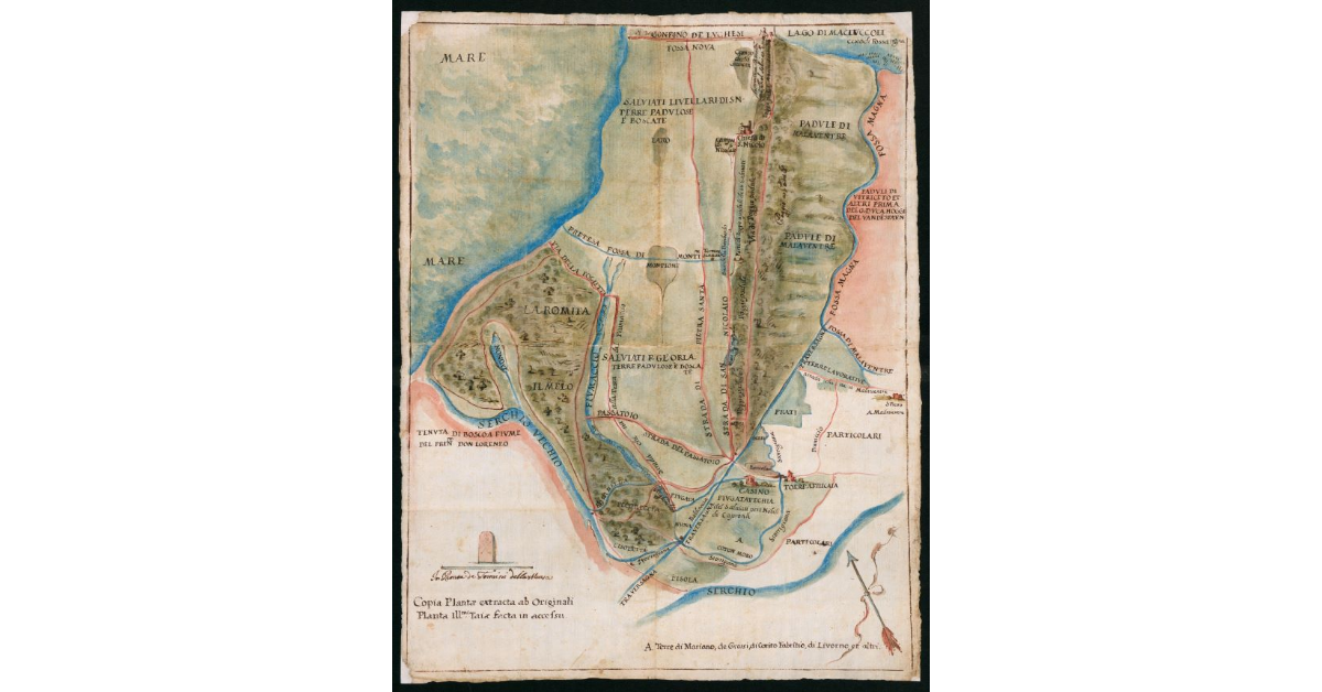 Copia plantae esctracta ab originali planta Ill.mi. Taiae facta in accessu